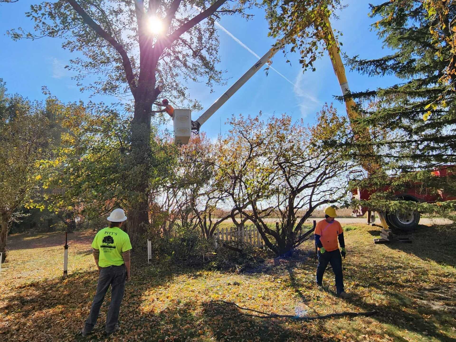 Arborists During Work – Huxley, IA – Pitts Lawn & Tree