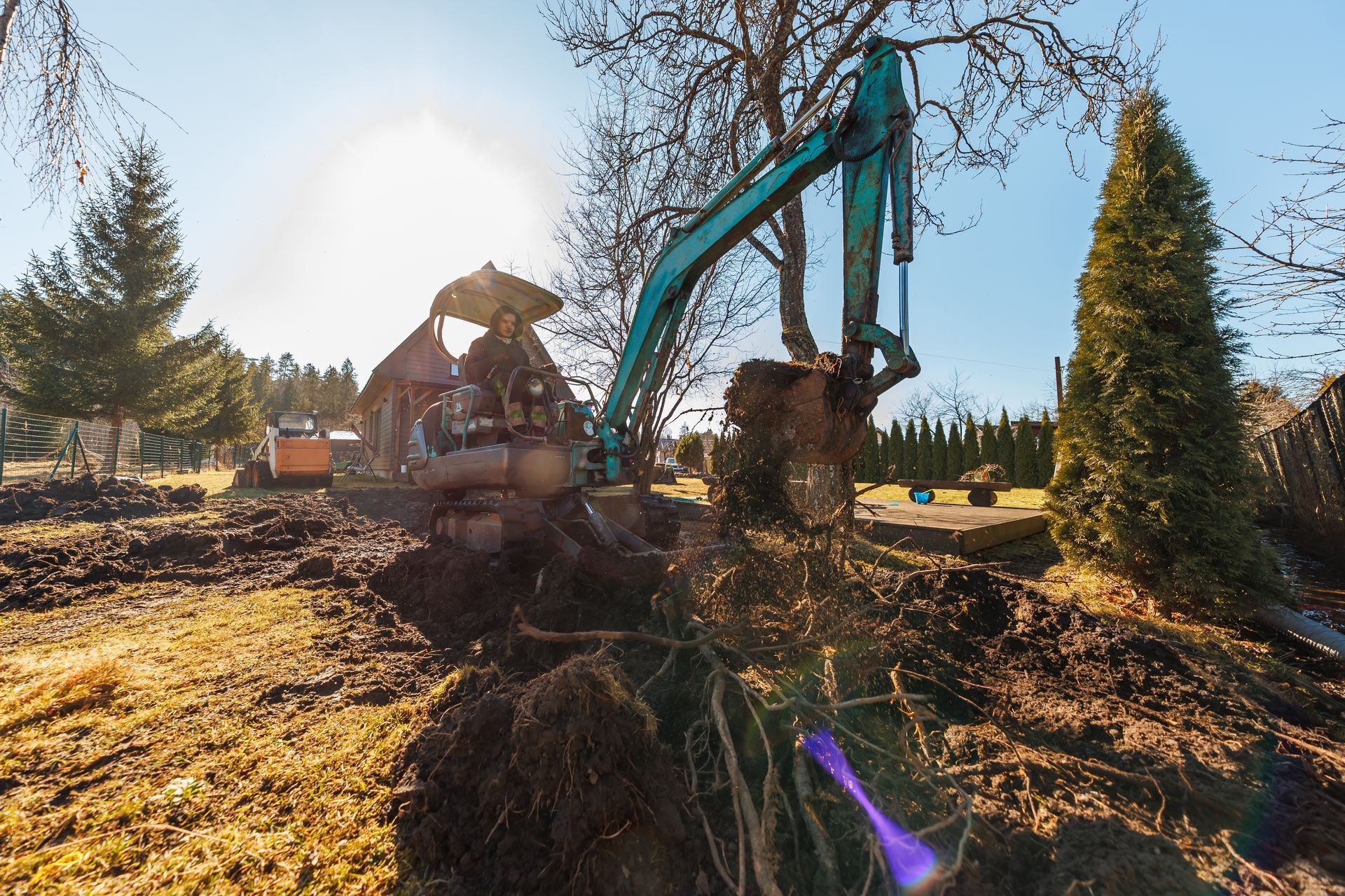 A contractor operates a teal mini excavator, tearing tree roots. A contractor operates a teal mini excavator, tearing tree roots.