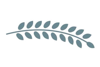 Gray leafy branch logo on a white background