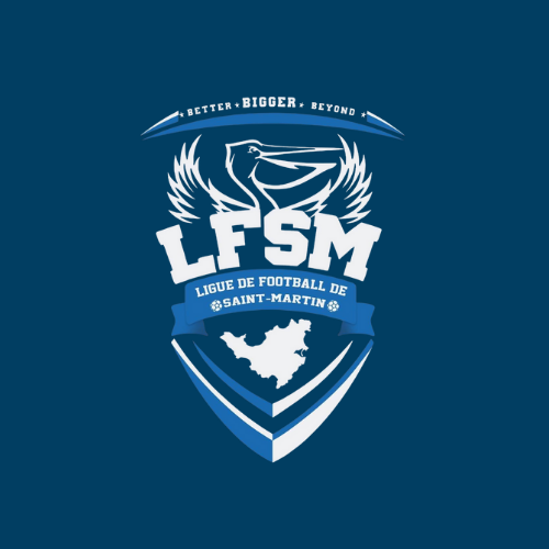 A logo for the lfsm league de football de saint-martin