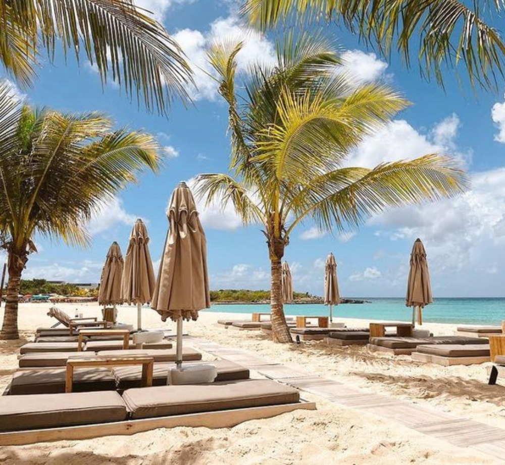 A beach with palm trees and umbrellas on a sunny day