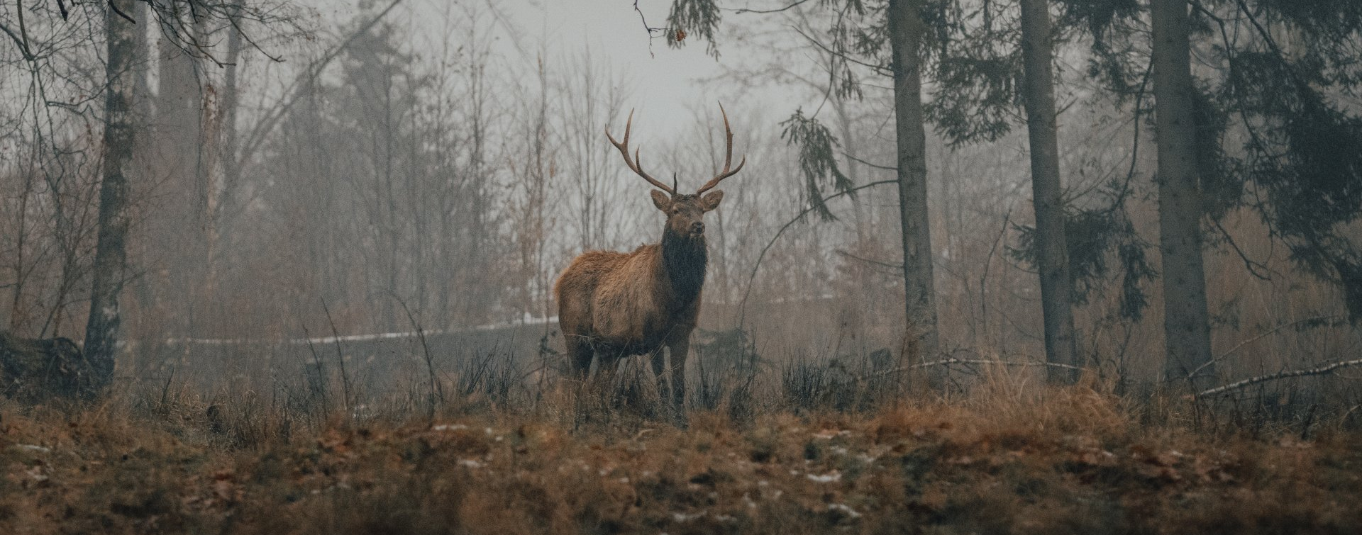 Hunt Risks Gardeining Safe Hunting Practices