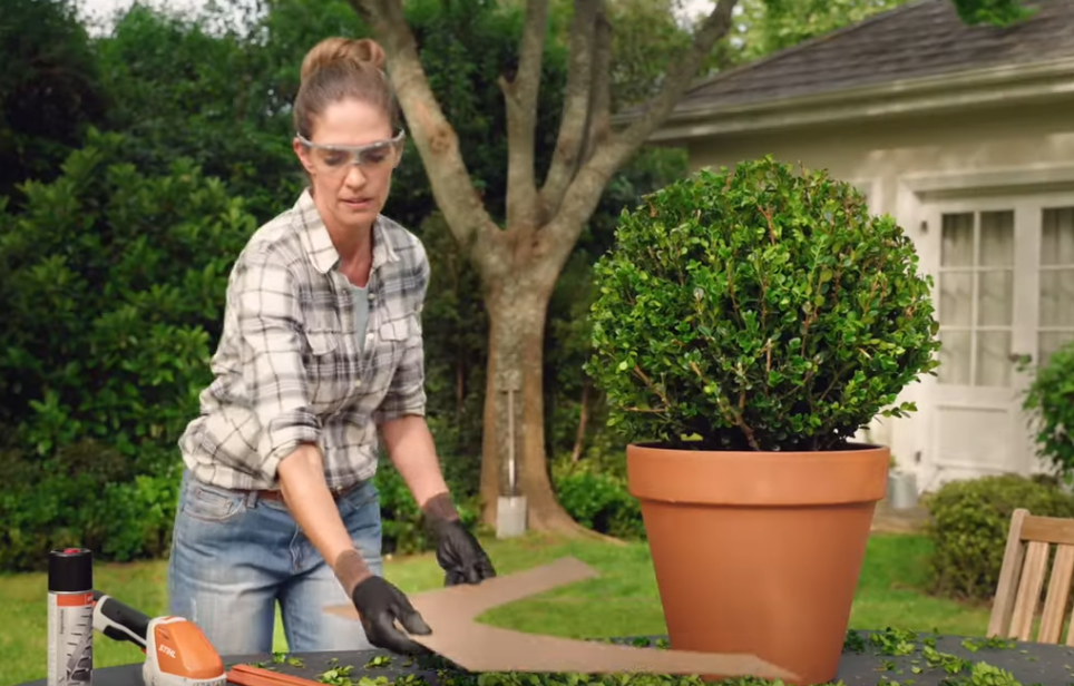 stihl-outdoor-equipment-pruning