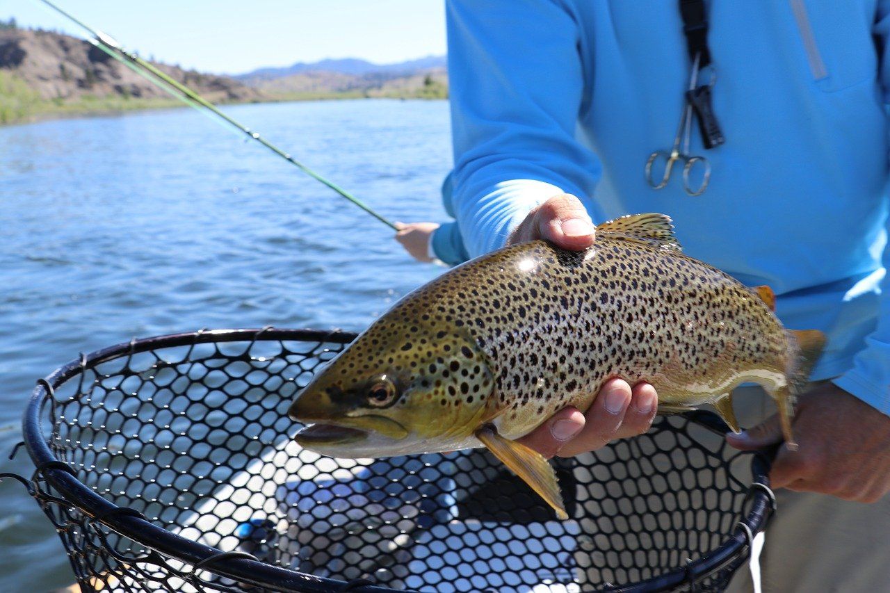 trout-fly-fishing-tips