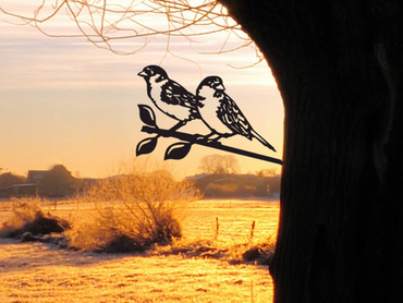 Twee vogels op een boomtak met een zonsondergang op de achtergrond