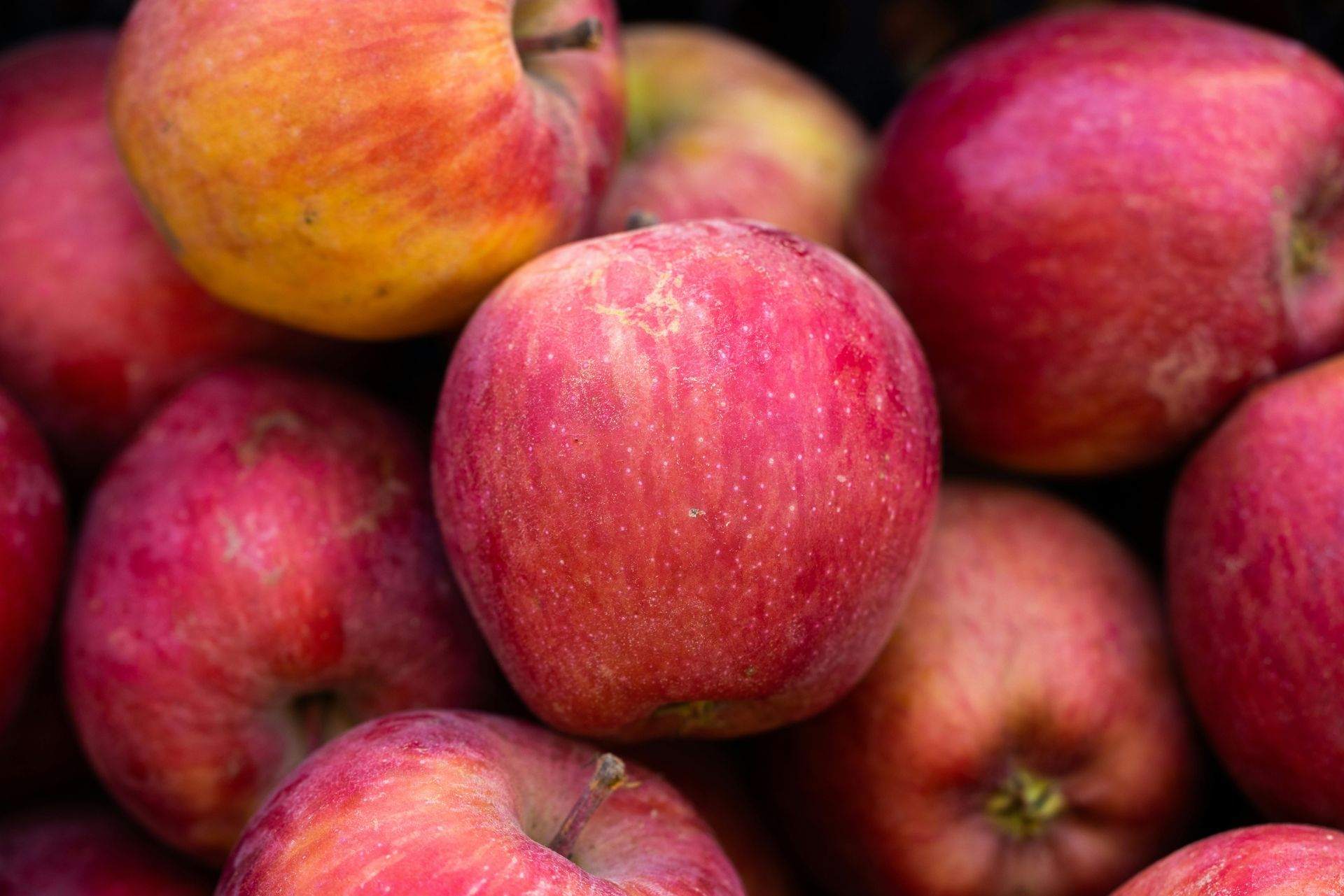 Pile of ripe red apples with yellow and green accents.