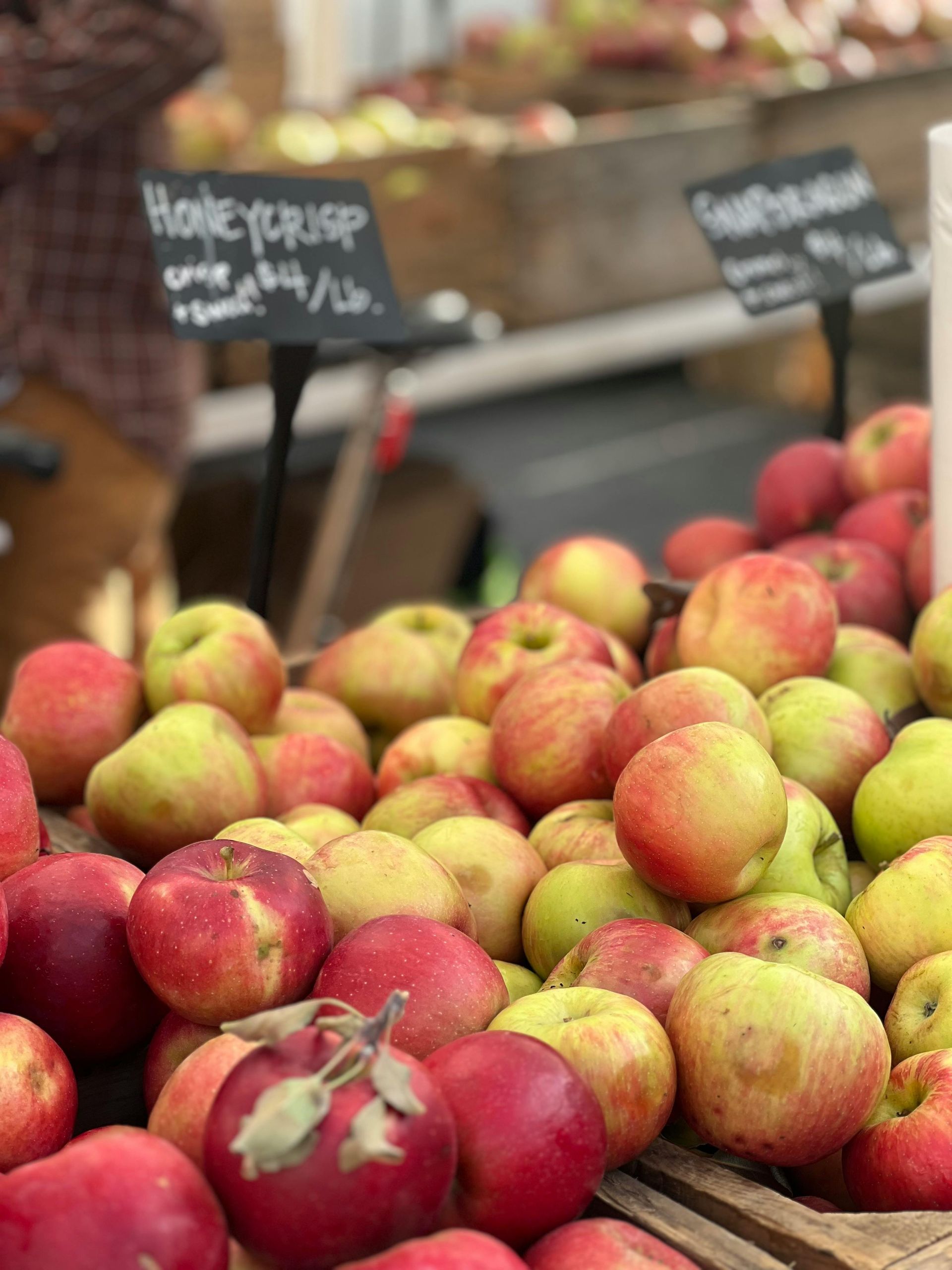A bunch of apples with a sign that says honeycrisp on it