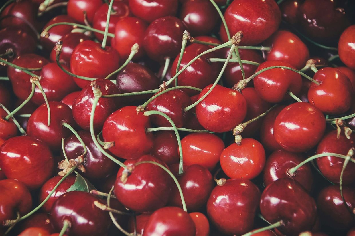 A pile of cherries with green stems and leaves