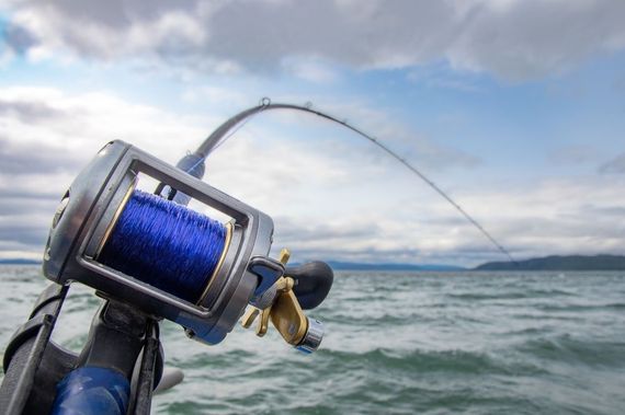 A close up of a fishing rod in the water.