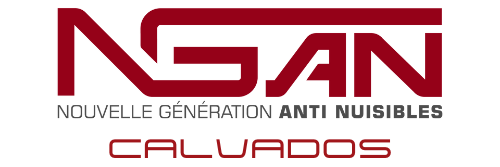 Un logo rouge et blanc pour nean sur fond blanc