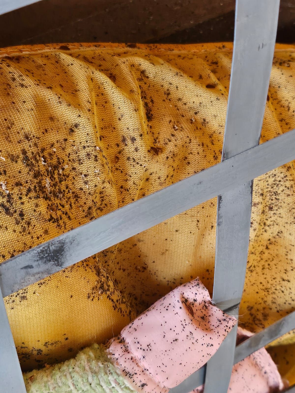 Tâches sur le matelas indiquant une infestation de punaises de lit