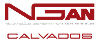 logo ngan