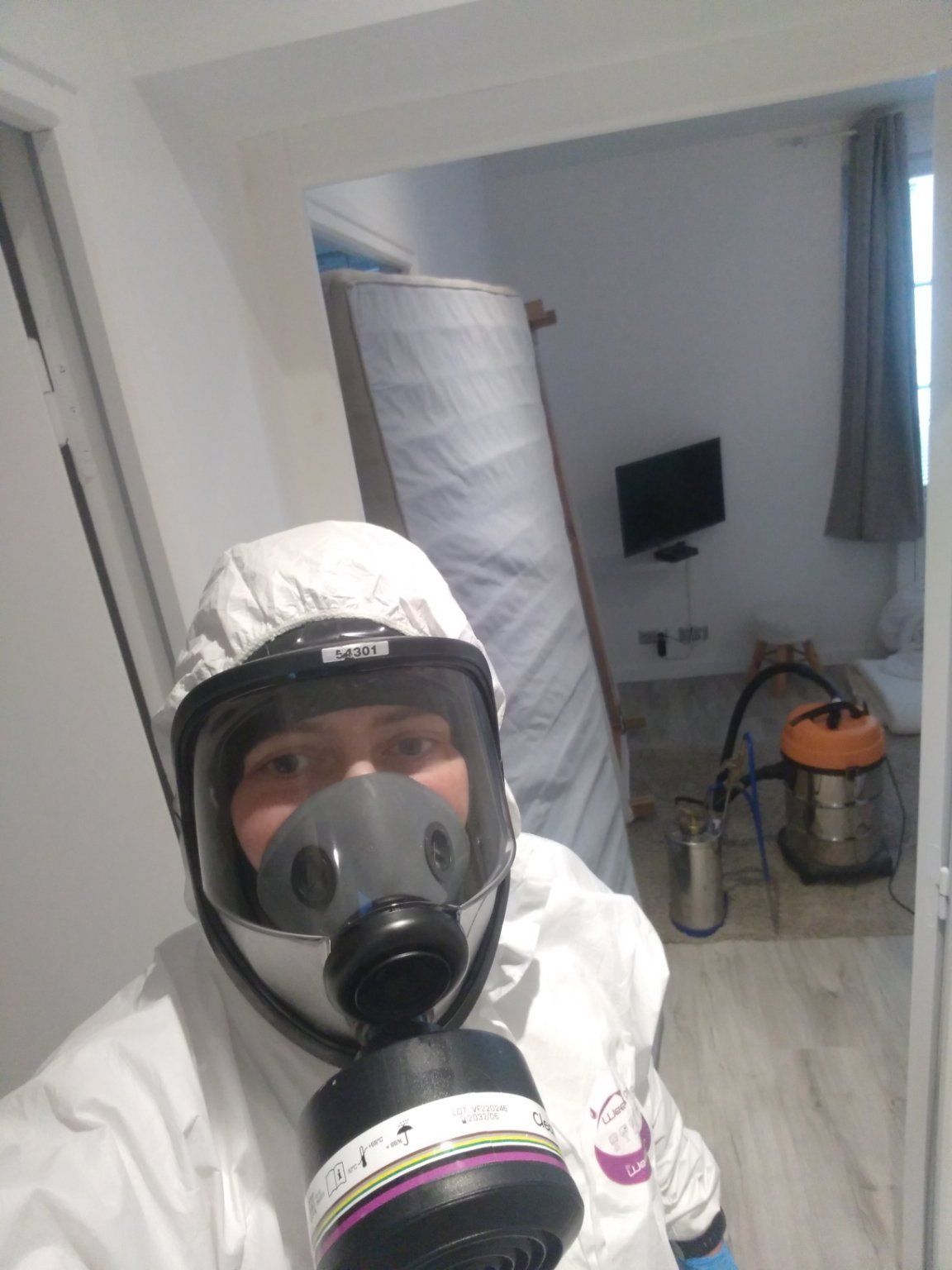 Traitement raisonné contre une infestation de puces à Caen, intervention de NGAN Calvados