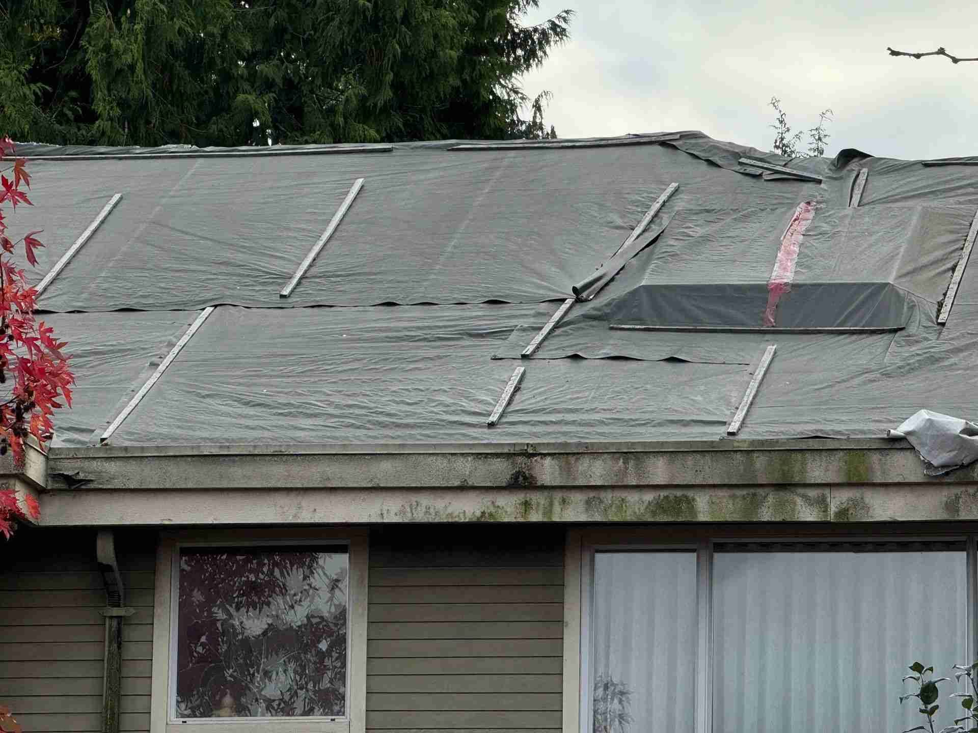 roofing company near me (1)