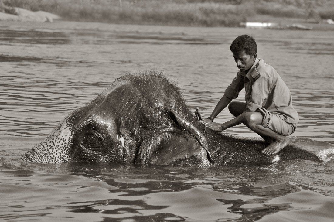 , tourism, travel, adventure, mayan, asia, sailing, elephants