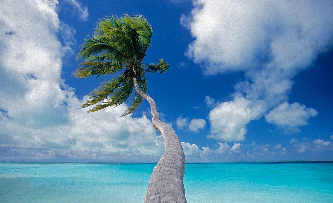 , tourism, travel, adventure, mayan