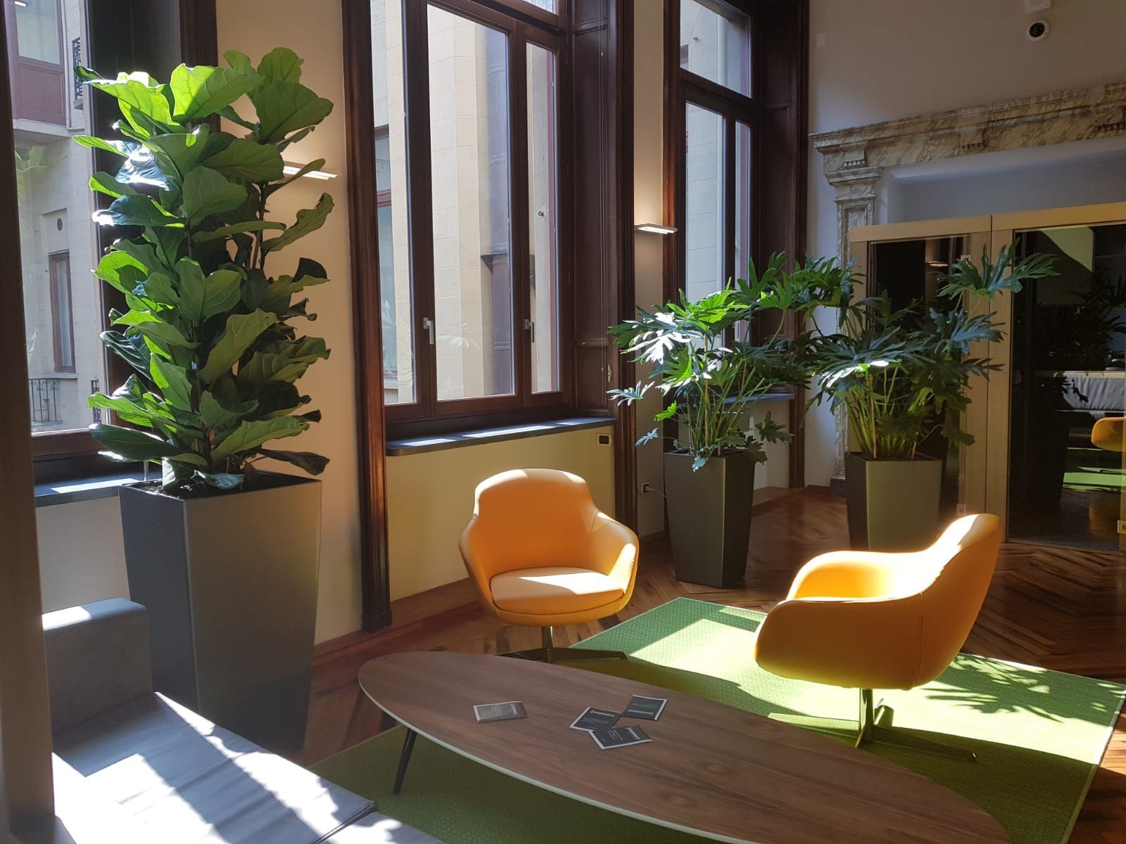piante per interni