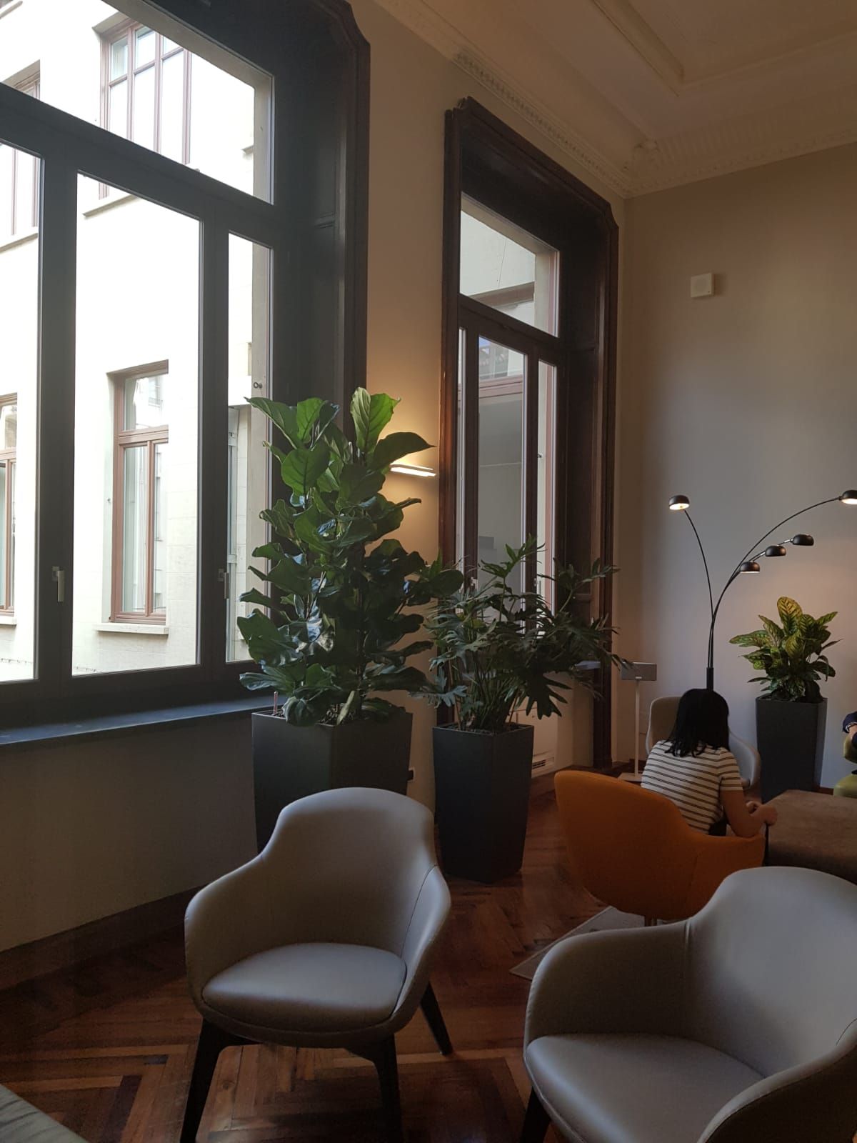 piante da interno