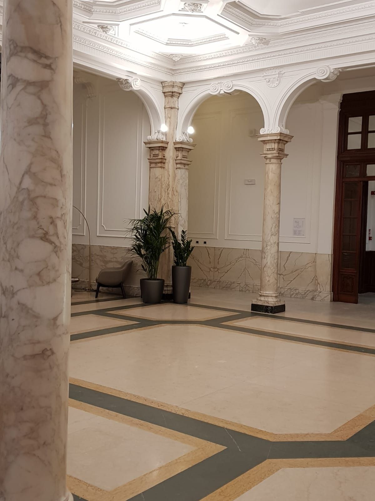 piante per ambienti eleganti