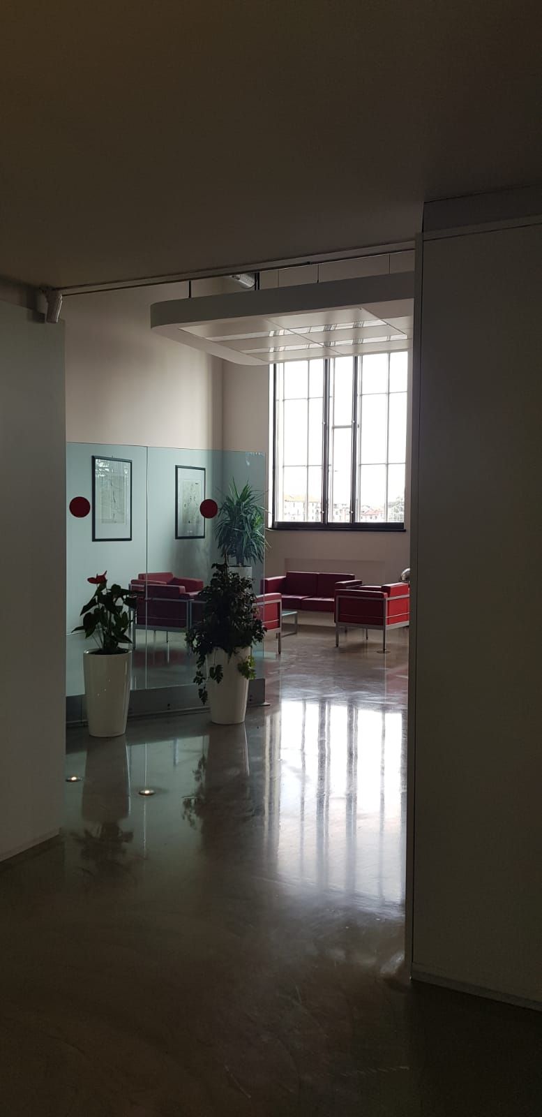 piante da ufficio