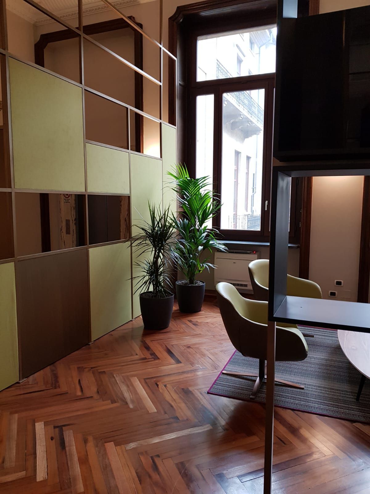 piante per interni in luoghi di lavoro