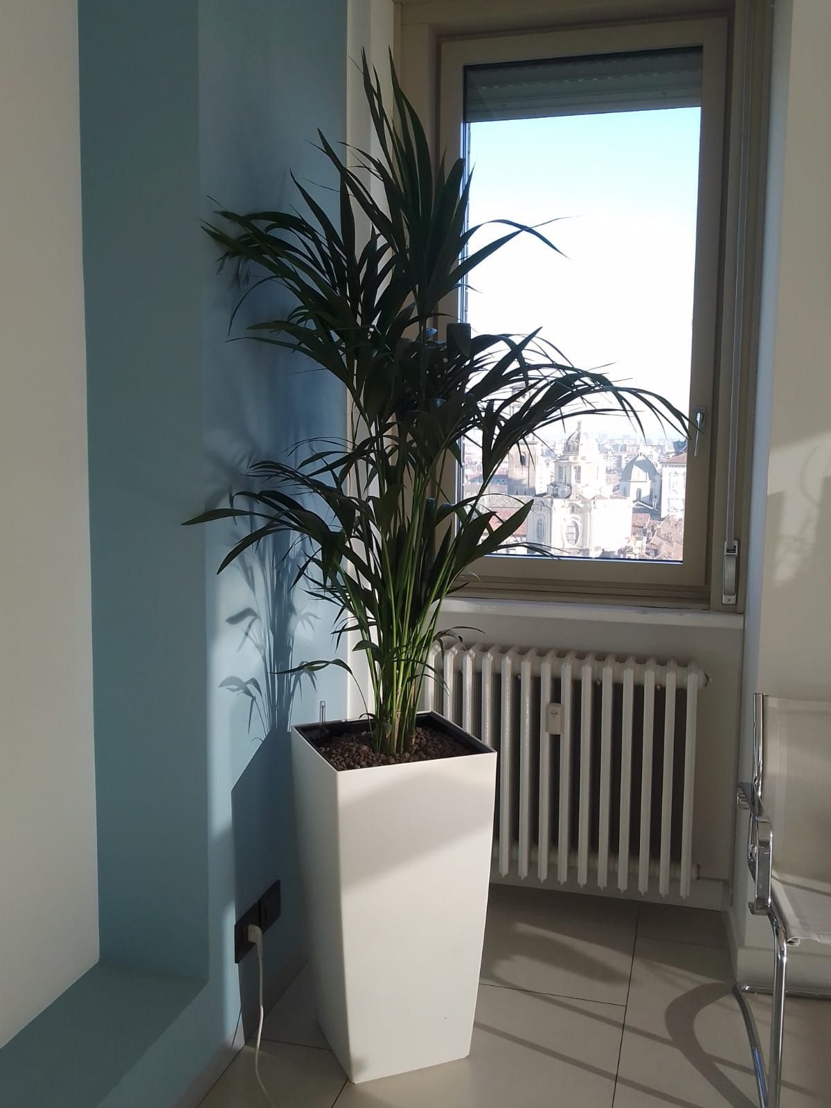 pianta d'arredo