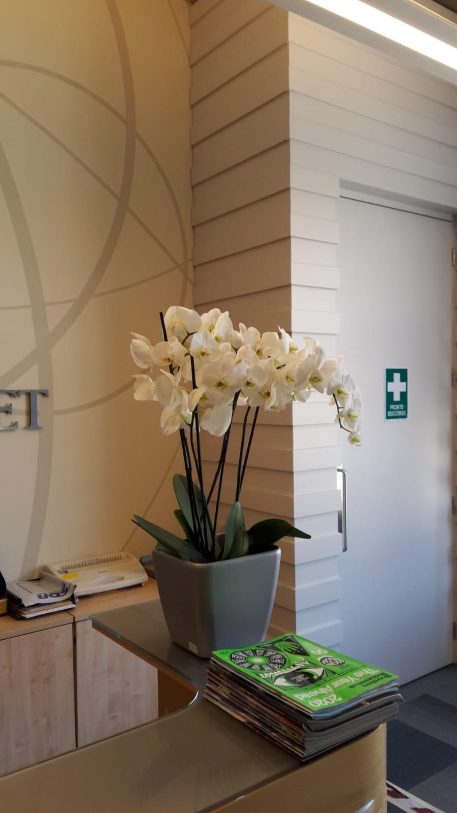 orchidea