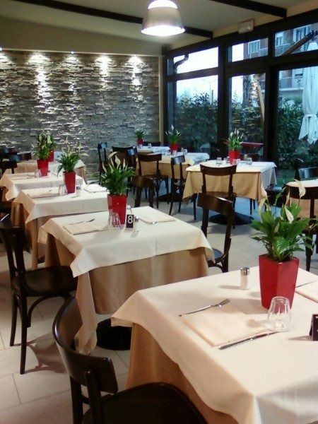 piantine in vaso su tavoli