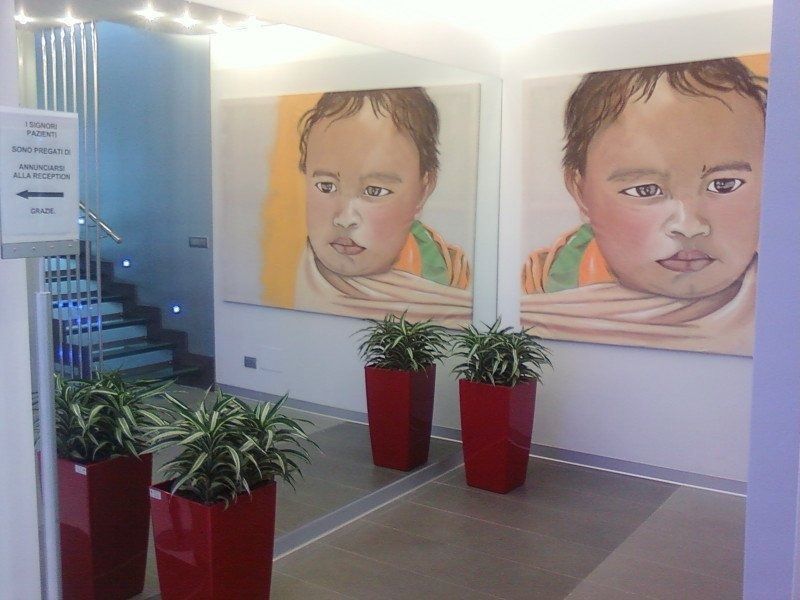 piante in vaso per locale commerciale