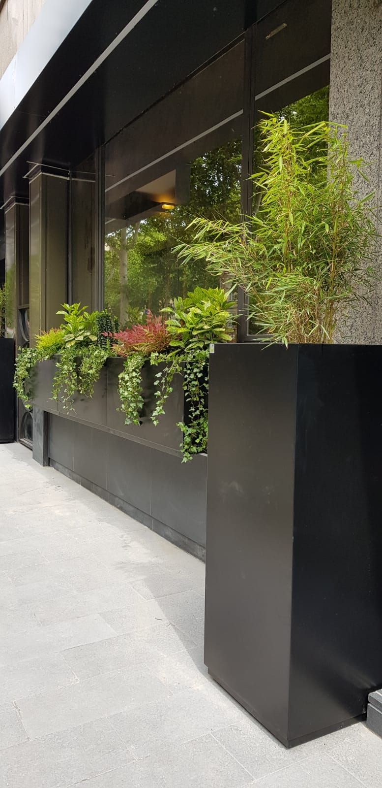 area verde con piante in vaso