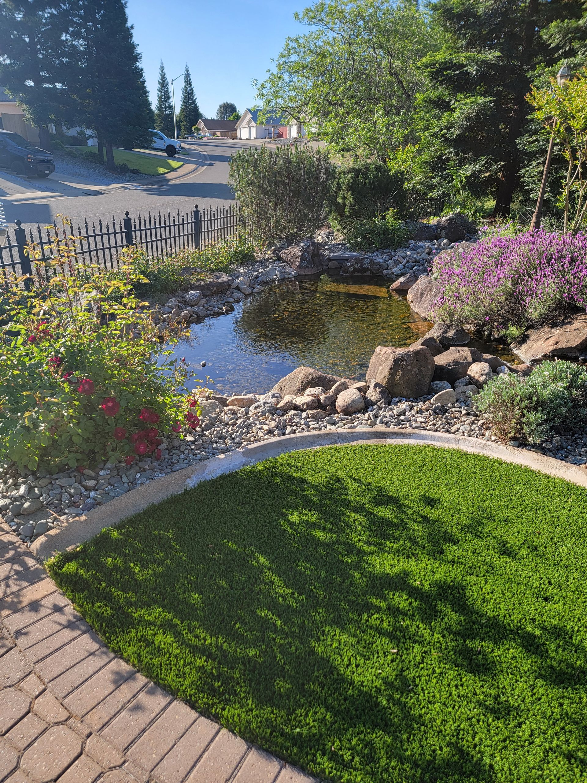 A rock garden in front of a house with a tree in the background.