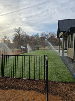 A sprinkler is spraying water on a lush green lawn in front of a house.