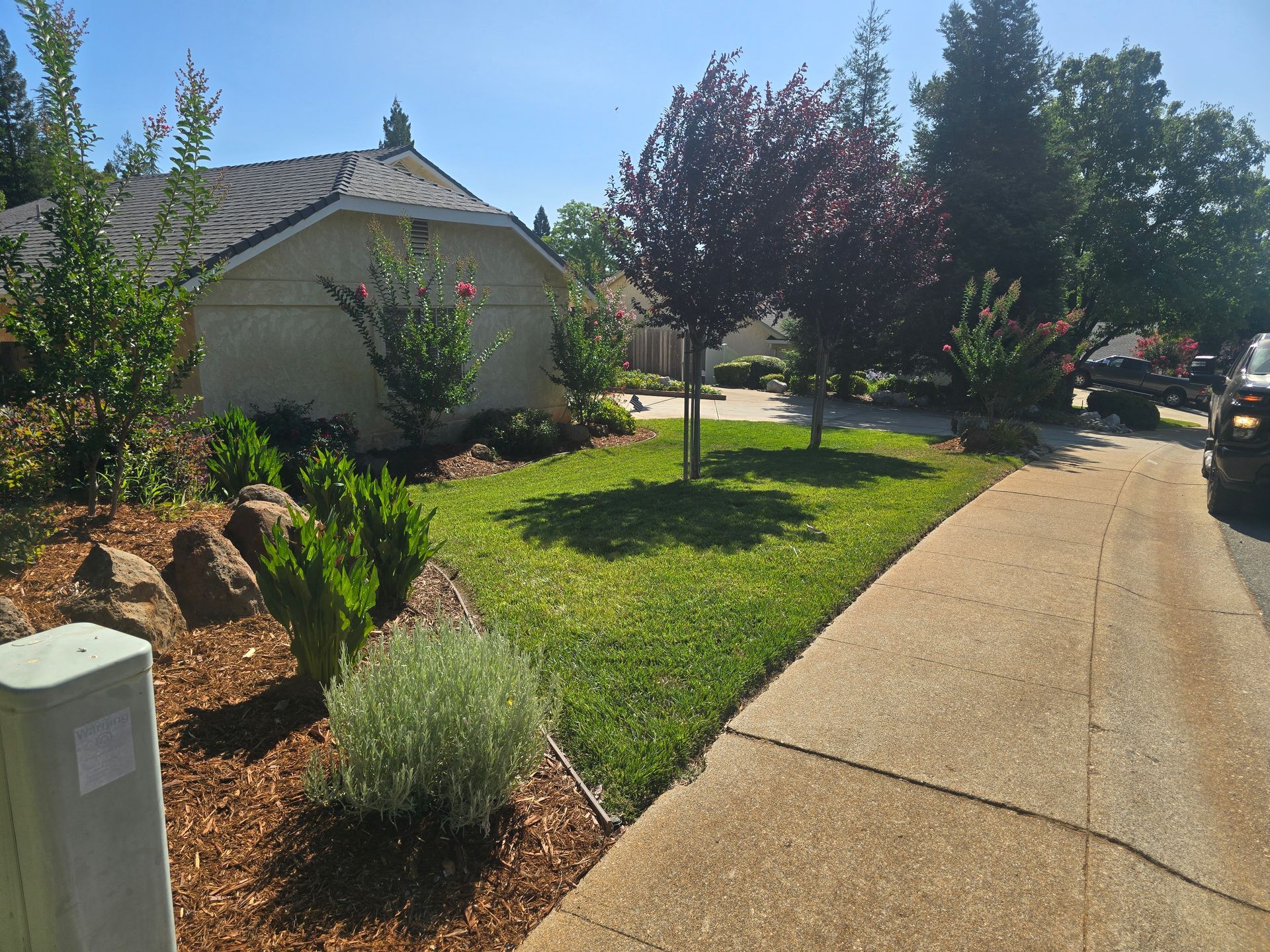 A sidewalk leading to a house with a lush green lawn