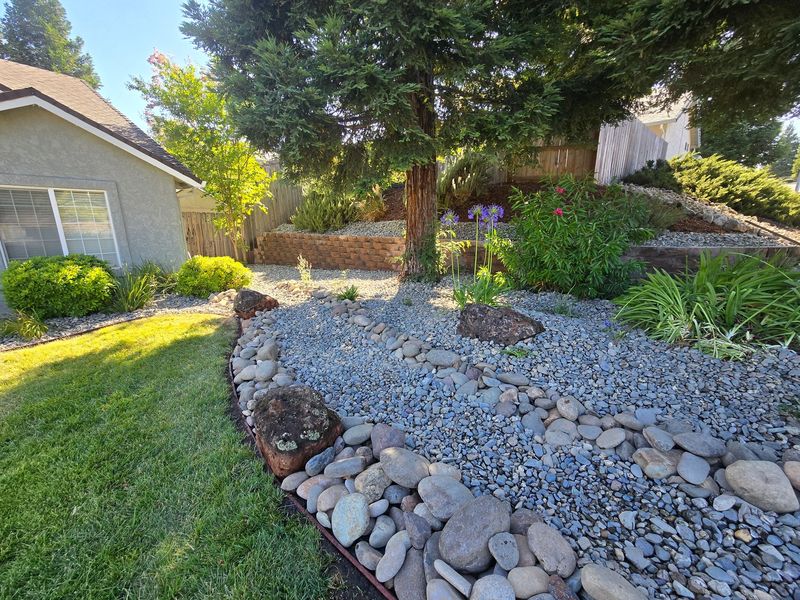 A rock garden in front of a house with a tree in the background.