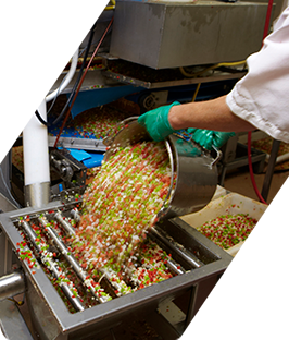 Un trabajador vierte verduras troceadas sobre una cinta transportadora metálica de clasificación en una fábrica.