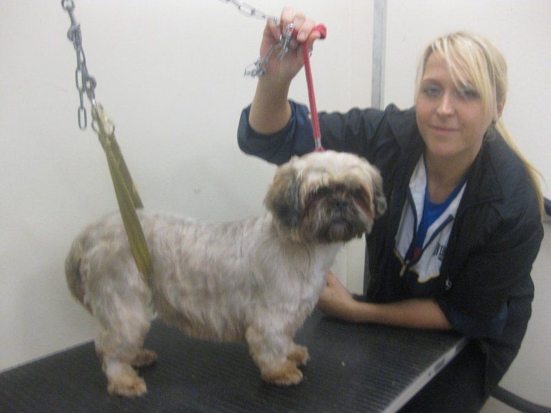 An expert nursing the pet