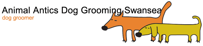 Animal Antics Dog Grooming logo