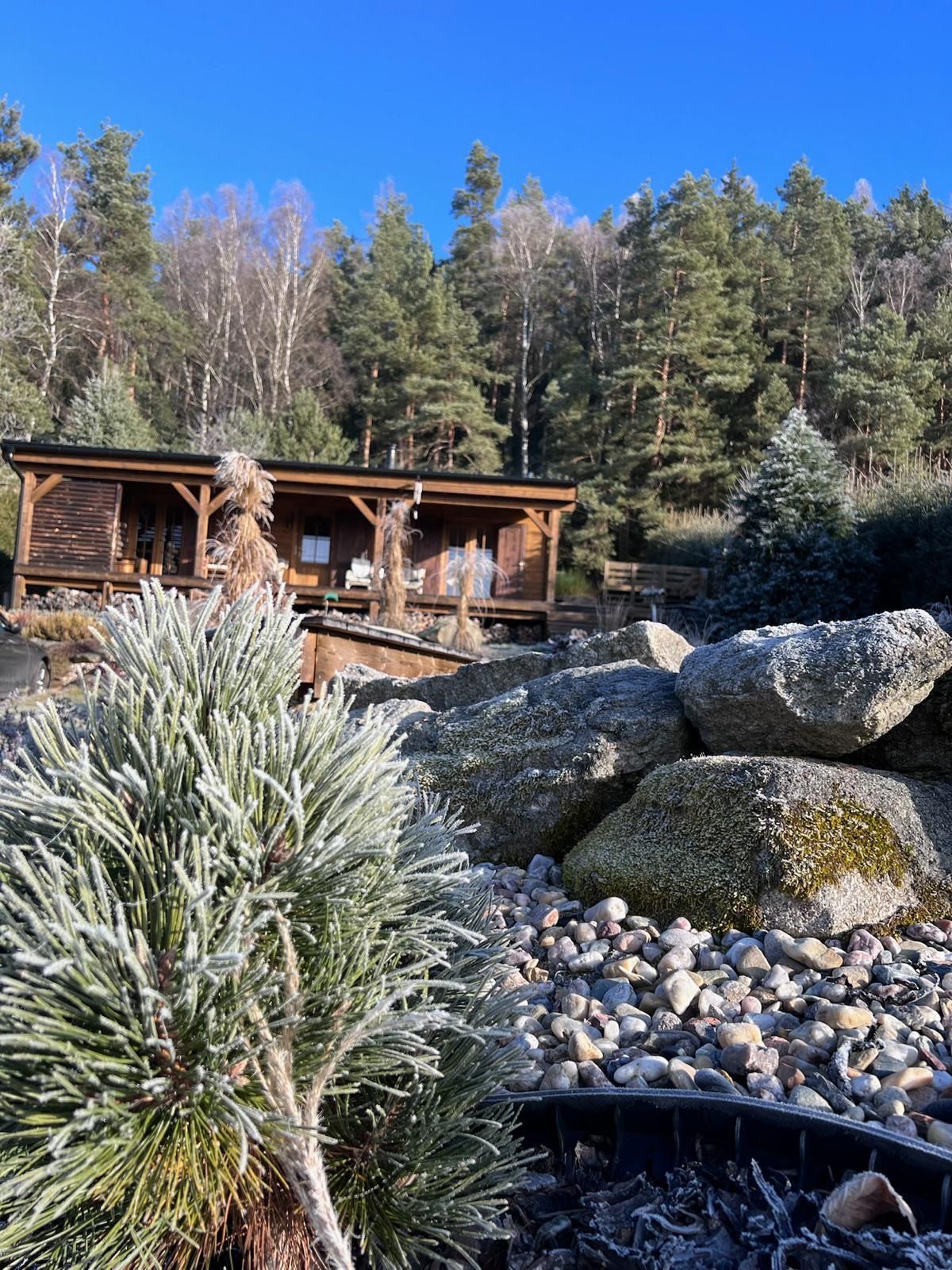 A rustic cabin nestled among rocks and frost-covered plants with a forest backdrop on a sunny day.