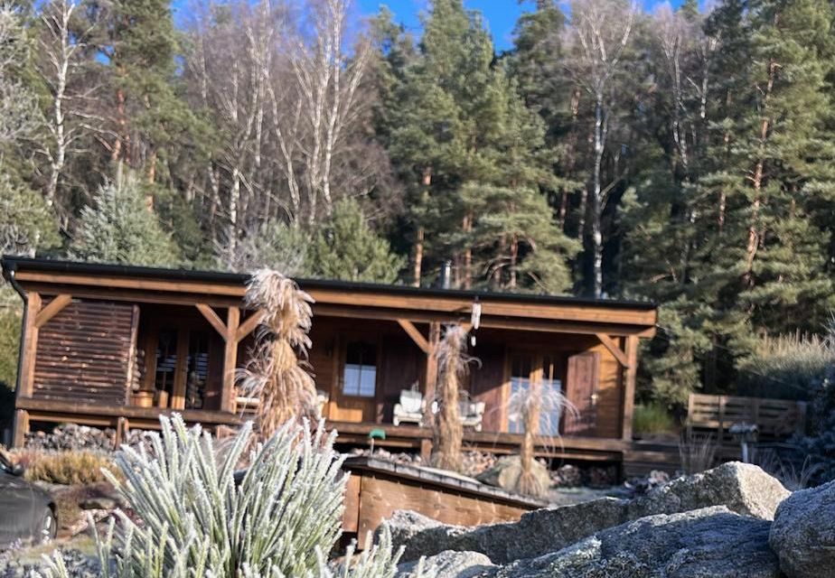 Wooden cabin nestled in a forest, frost-covered foliage, sunny day.