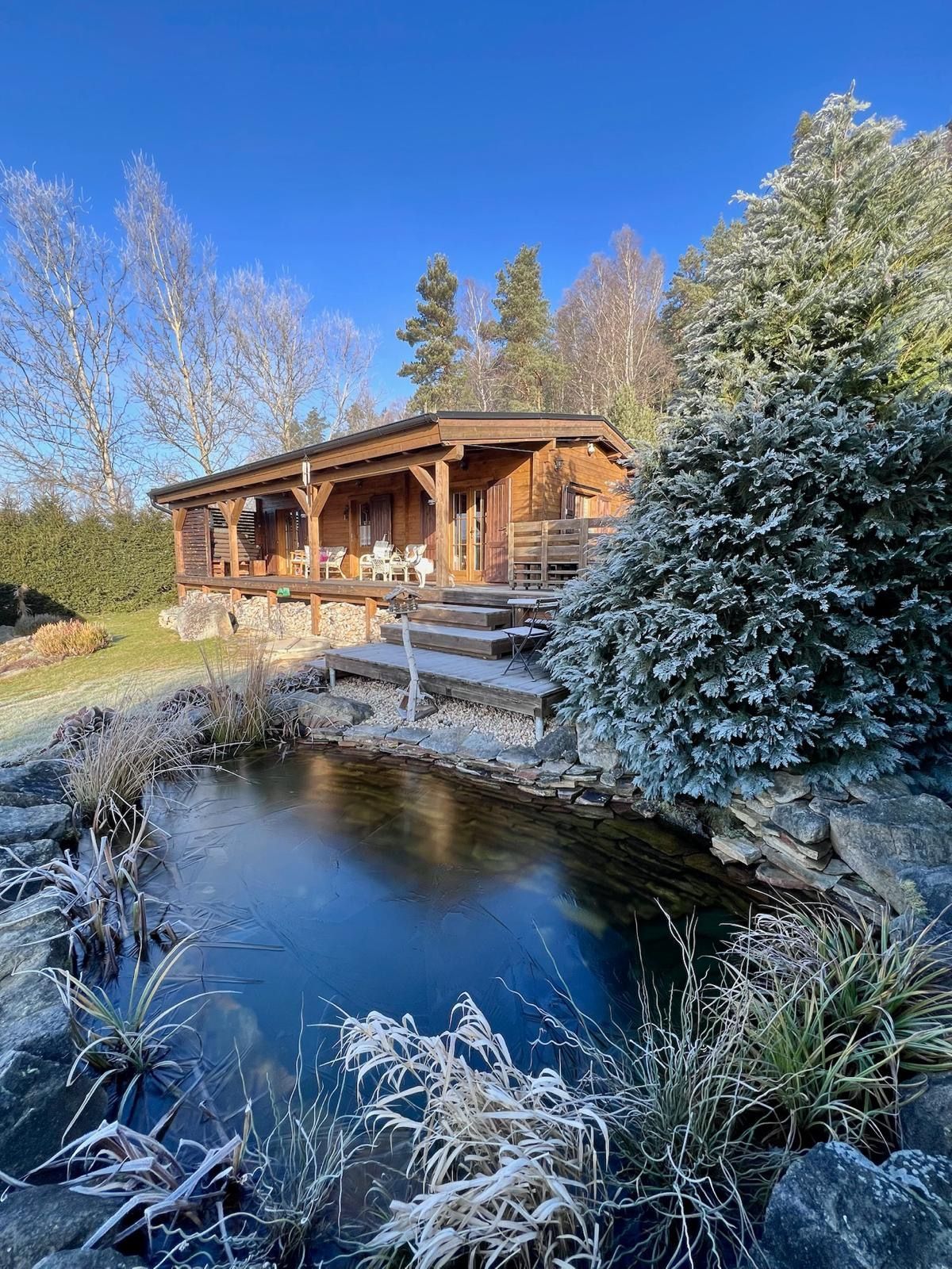 Wooden cabin next to a frozen pond with frosted plants under a clear blue sky.