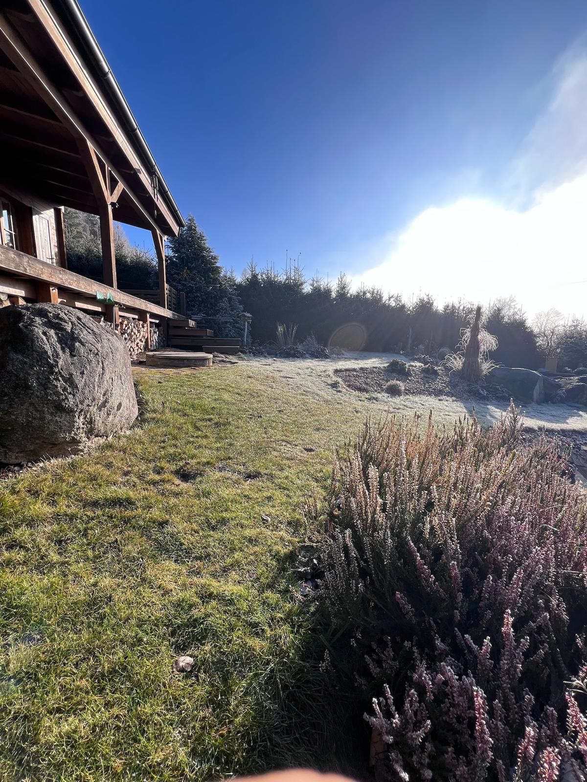 Cabin's porch in a sunny winter scene; frost on the plants and grass under a bright sky.