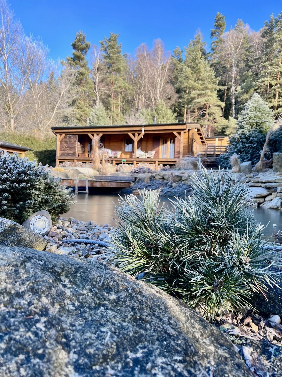 Wooden cabin by a frosty pond, surrounded by snow-covered bushes and trees, under a bright blue sky.