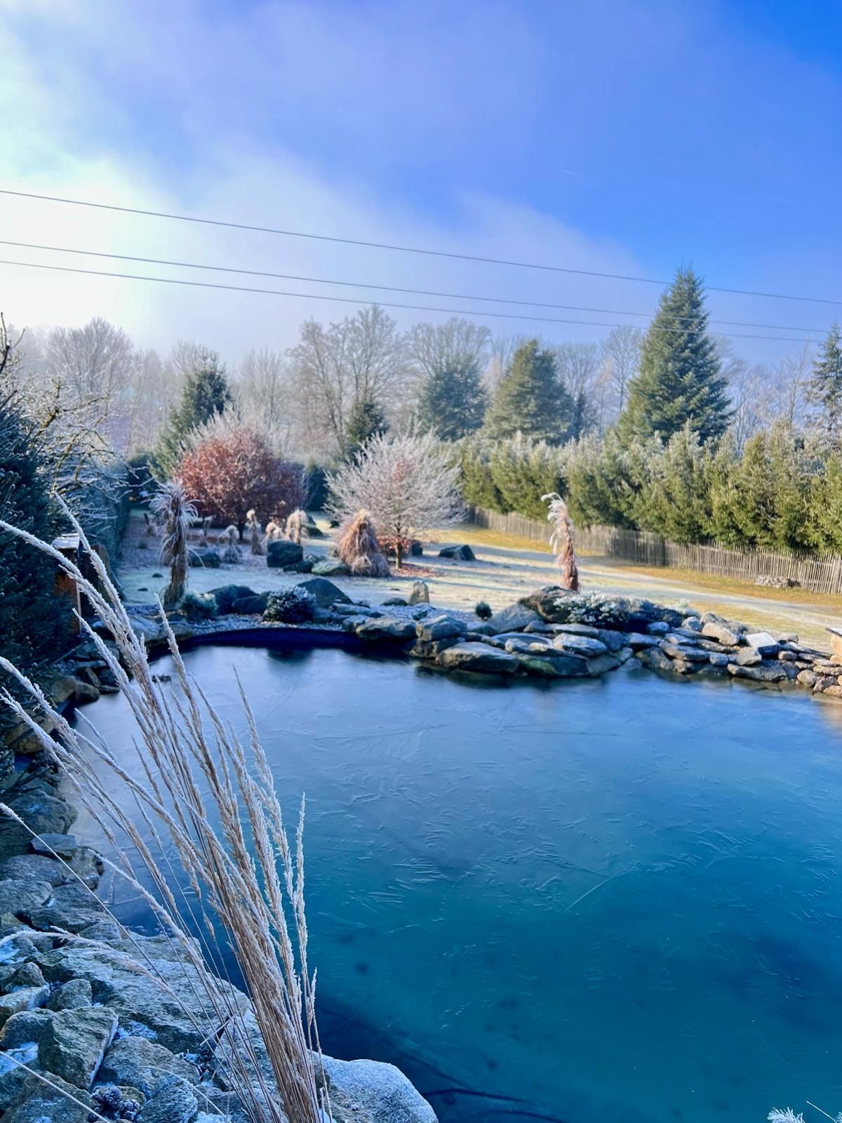 Frozen pond in a winter landscape with frost-covered trees and a blue sky.