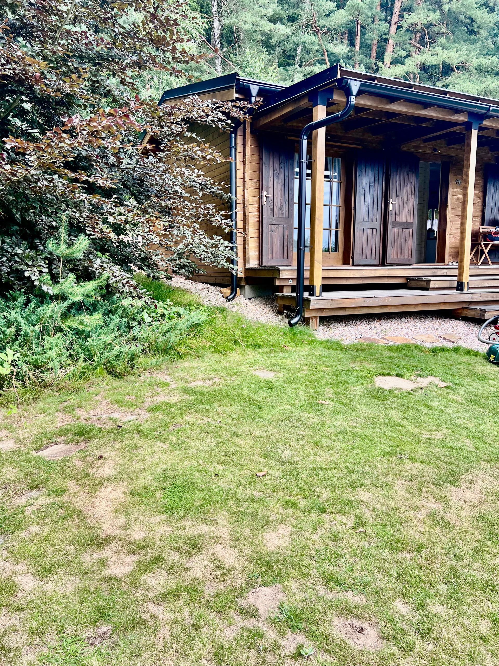 Wooden cabin with porch and steps, nestled in a forest, with a grassy lawn in front.