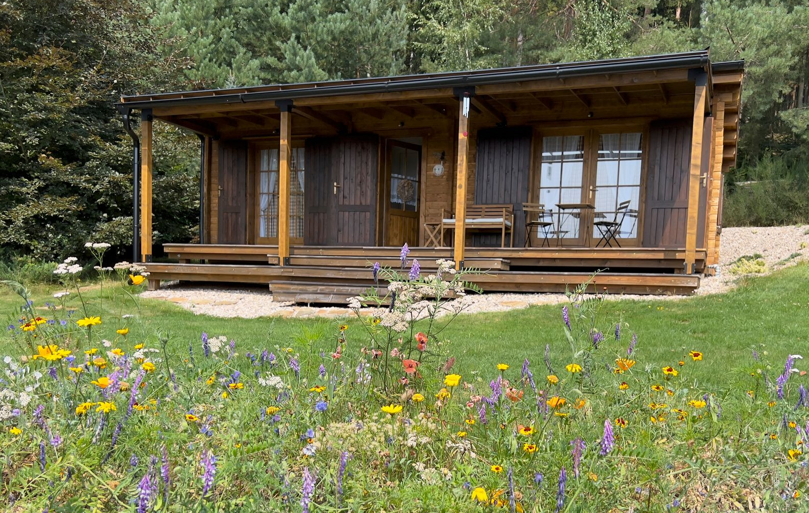 Wooden cabin with porch, surrounded by wildflowers and green grass.