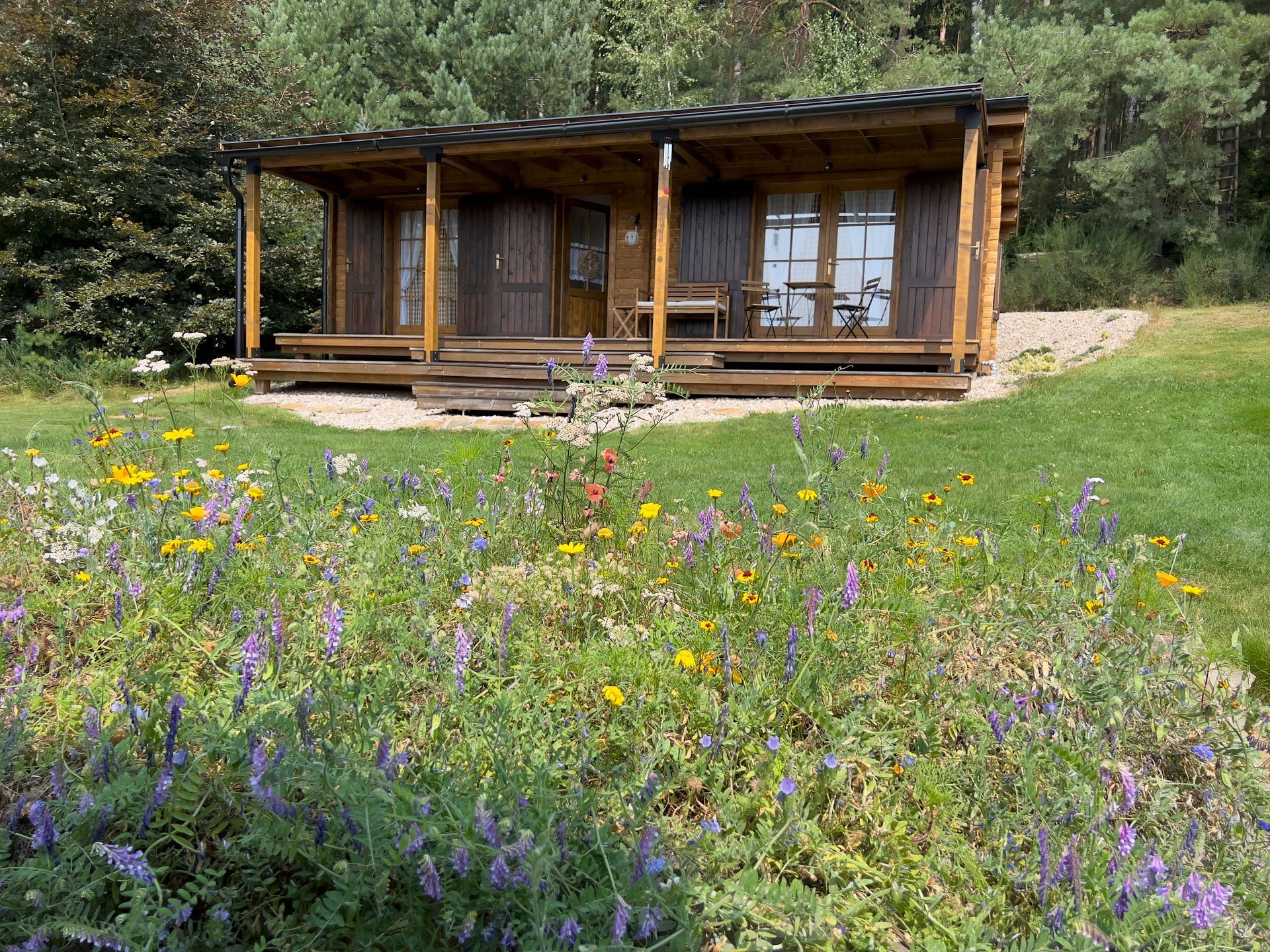 Wooden cabin with porch and double doors on a grassy hill with colorful wildflowers in the foreground.