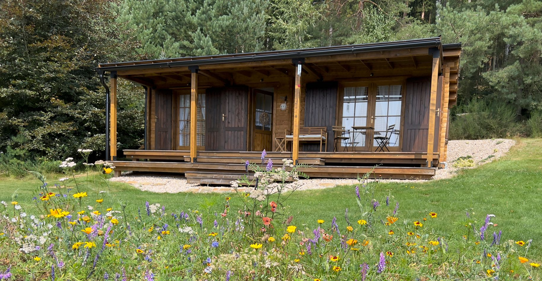 Wooden cabin with a porch and open doors set in a field of wildflowers, green trees in the background.