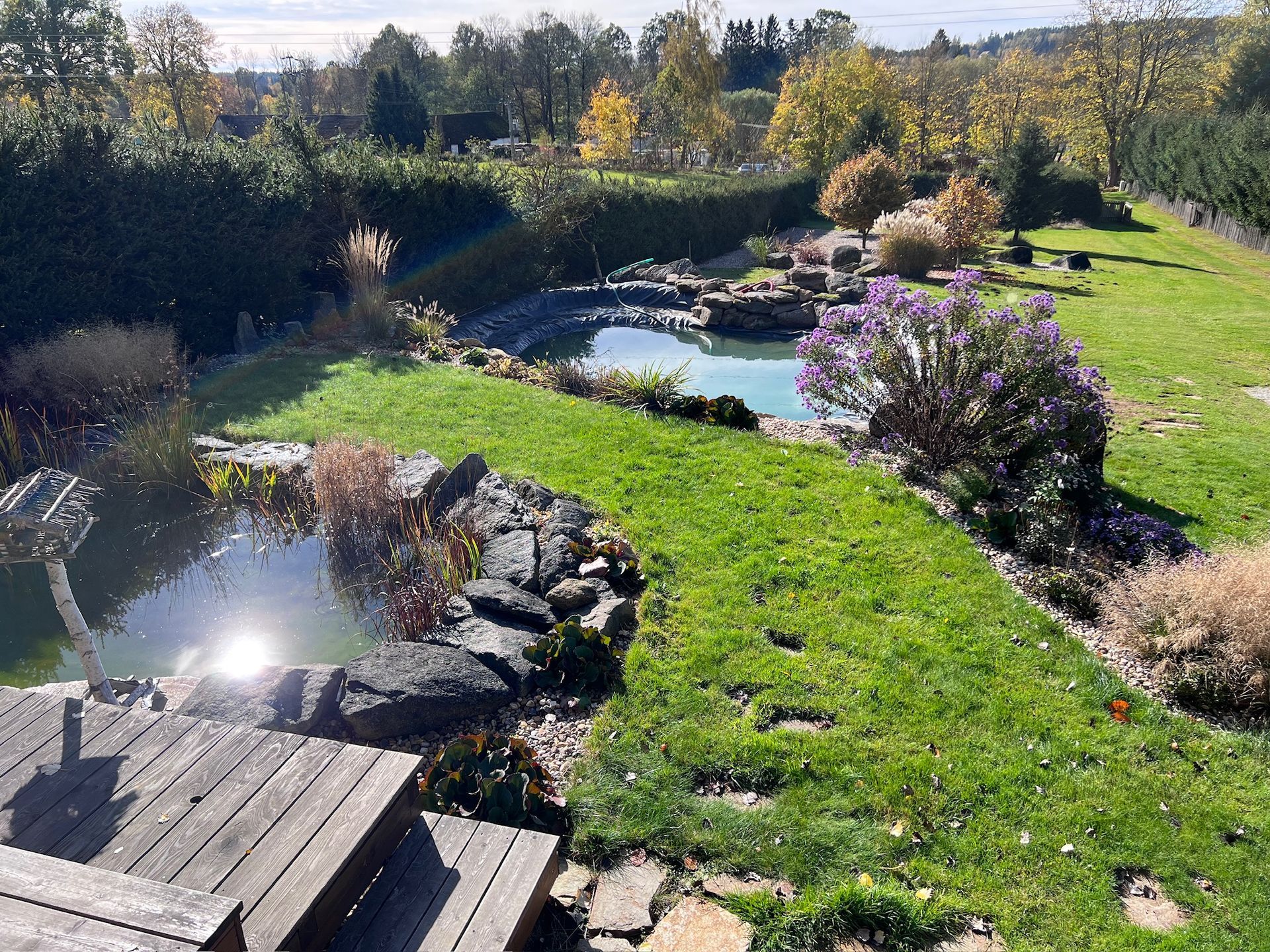 Lush green lawn with a pond. Stone-lined banks, wooden deck, and colorful bushes in a sunny outdoor setting.