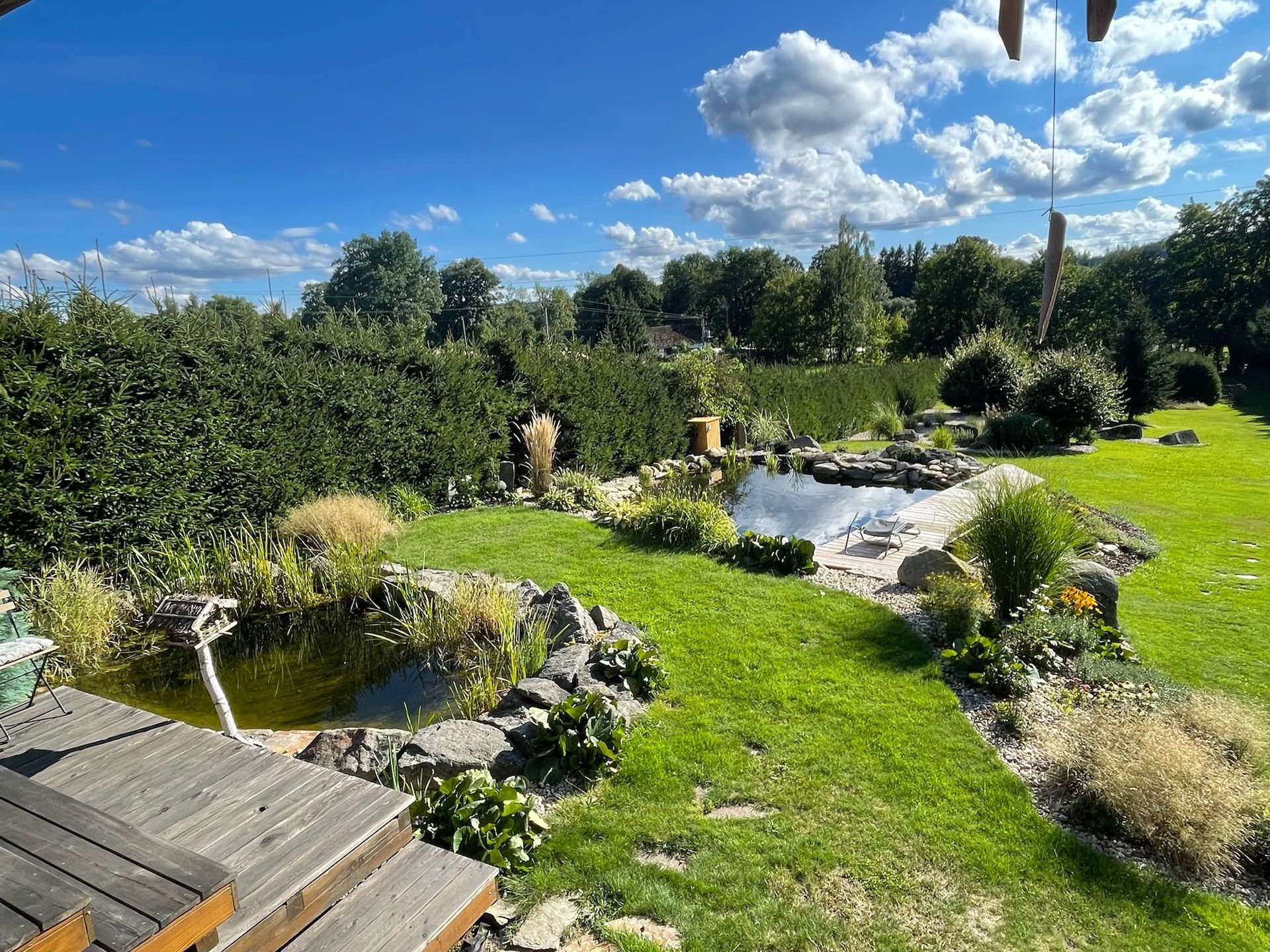 Lush backyard with a pond, green grass, trees, and a blue sky with clouds.