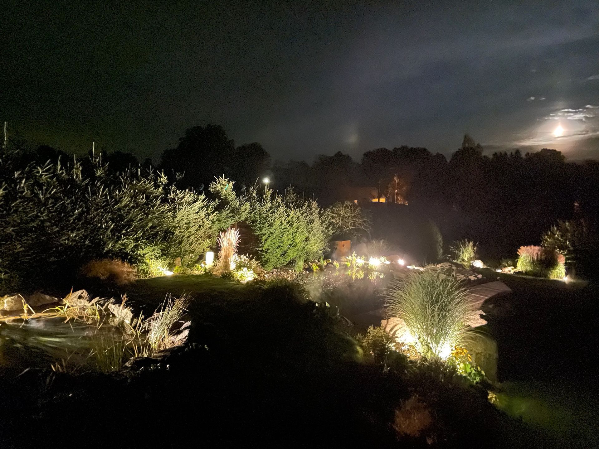 Night view of a garden with illuminated plants and pathways. The sky is dark with a bright moon visible.